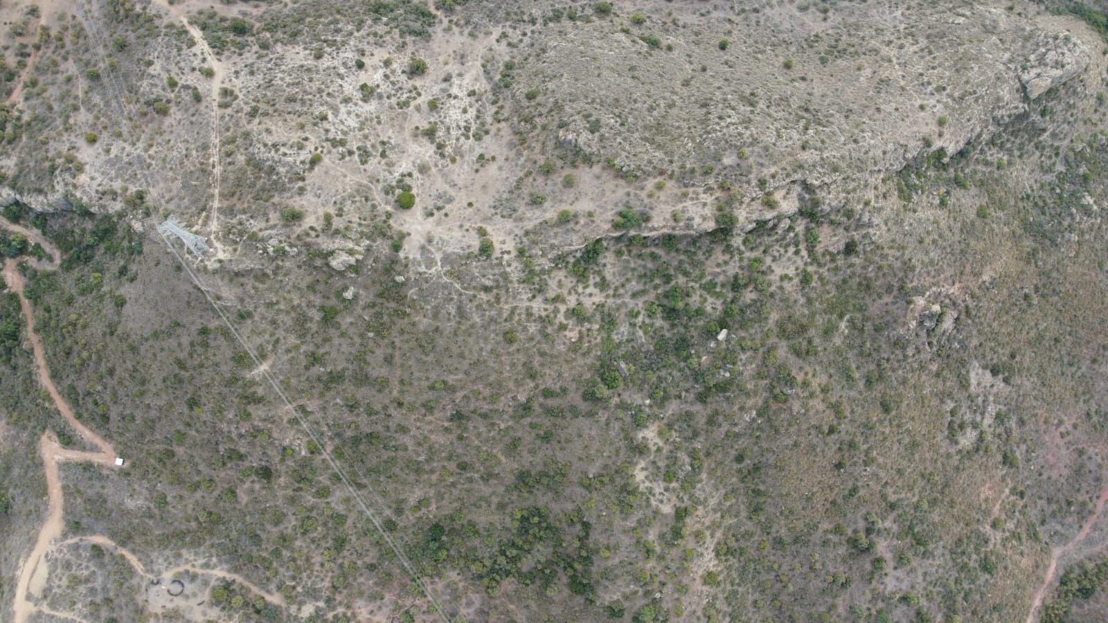 Imagen del campo