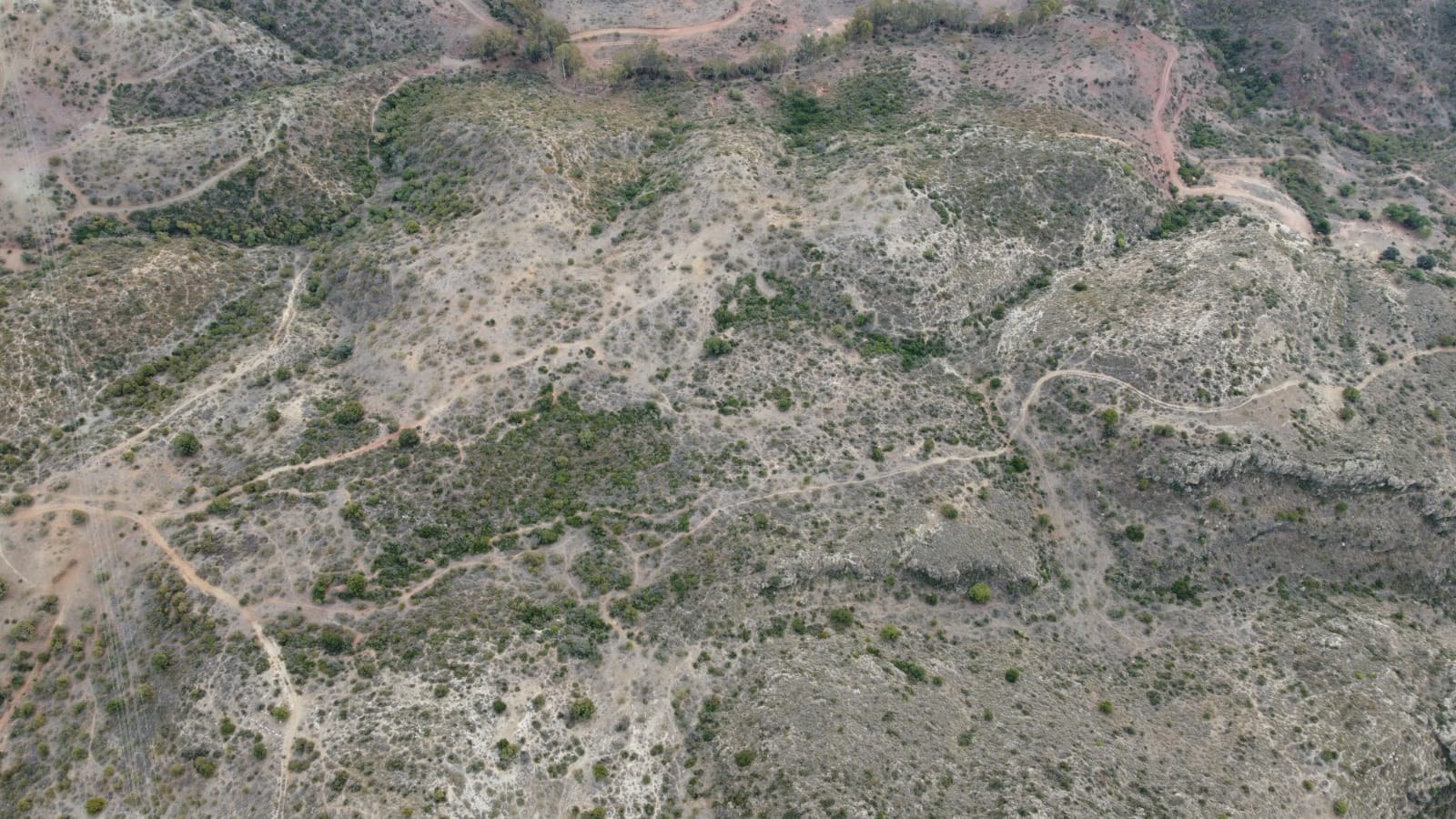 Imagen del campo