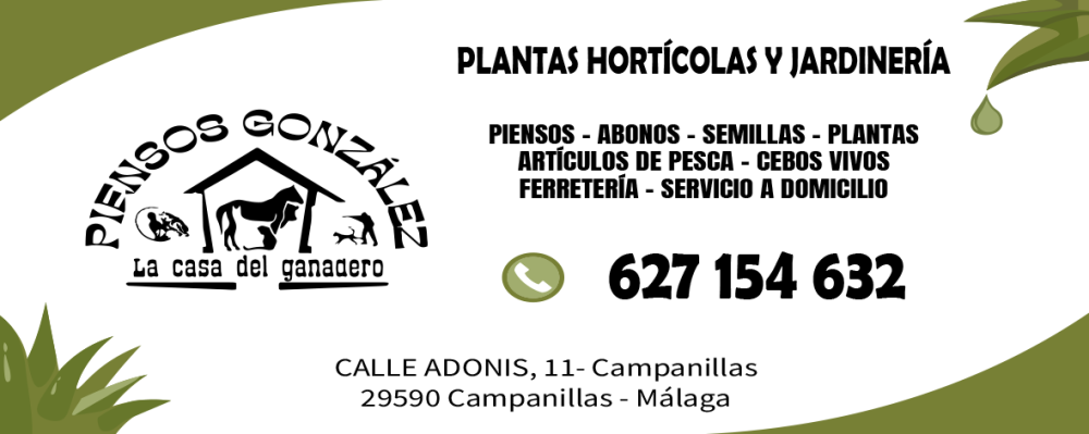 PIENSOS GONZÁLEZ